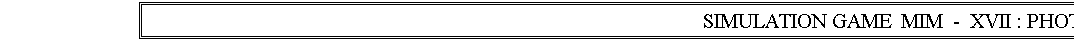 Text Box: SIMULATION GAME  MIM  -  XVII : PHOTO GALLERY 